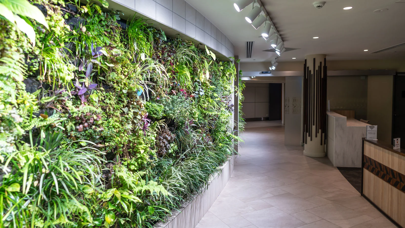 Fiji Premier Lounge Nadi